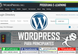 alt="promotardepty-cursos-wordpress-para-principiantes.png"